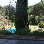Levantina 10 Vila